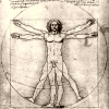 Da Vinci's Vitruvian man