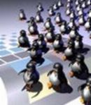 pengwins
