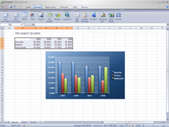 Microsoft Office 12 Excel