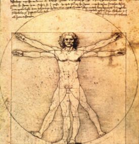 De Vitruviun Man van Leonardo da Vinci