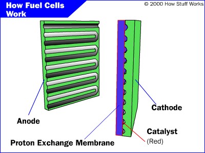 Brandstofcel: schematische weergave van een PEMFC-cell