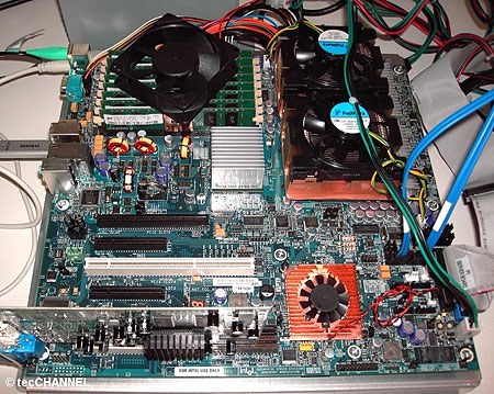 Xeon Dempsey