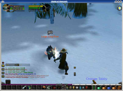 World of Warcraft met CEDEGA World of Warcraft met CEDEGA