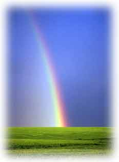 Regenboog