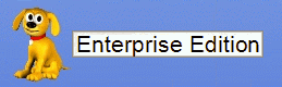 Windows Search companion EE