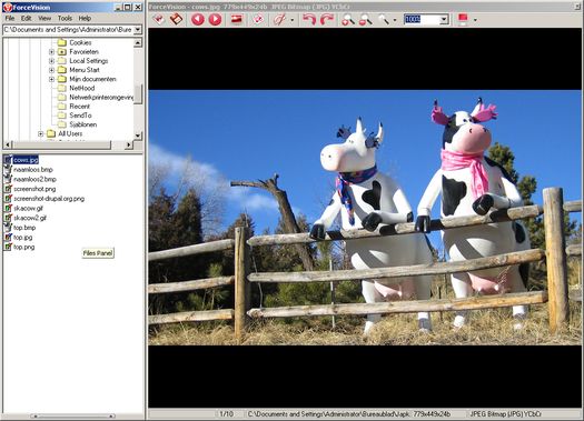 ForceVision 3.3 beta 4