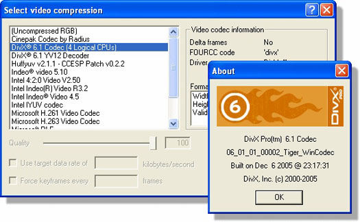 DivX 6.1 screensie (resized)