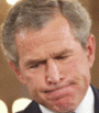 Bush geïrriteerd