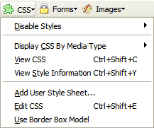 Web Developer Extension