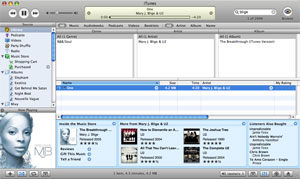 iTunes met MiniStore