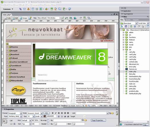 Macromedia Dreamweaver 8.01 screenshot (resized)