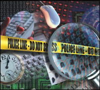 FBI Computer Crime Survey
