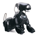 Aibo