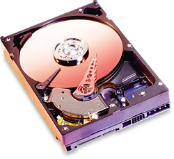 Western Digital SE16 (kleiner)