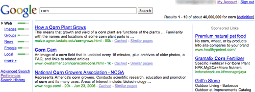 Google interface experiment