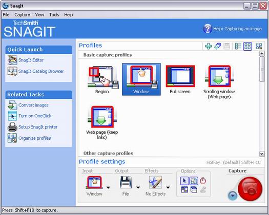 SnagIt 8.0 screenshot (resized)