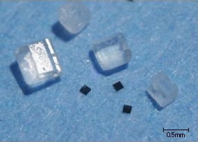 Hitachi RFID-chips en zoutkorrels Hitachi RFID-chips en zoutkorrels