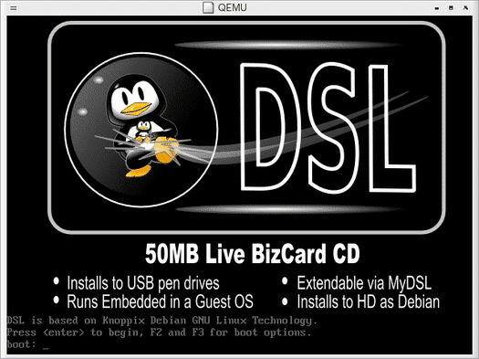 Damn Small Linux plaatje