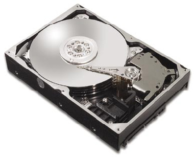 Maxtor Diamondmax 11, 500GB 