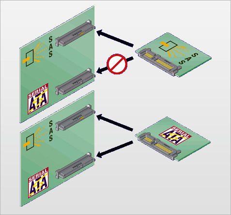 SATA en SAS system receptacles / backplane connectors (1)