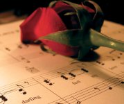 Muziekblad met roos
