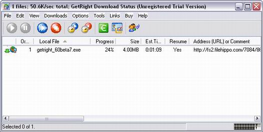 GetRight Pro 6.0 beta 7 screenshot (resized)