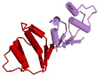 Rosetta@Home-stampede: proteinestructuur