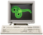 Worm in computer