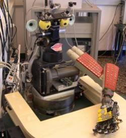 Babybot