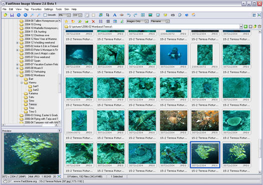 FastStone Image Viewer 2.6 beta 1 screenshot (resized)