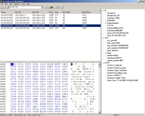 IP Sniffer (klein)