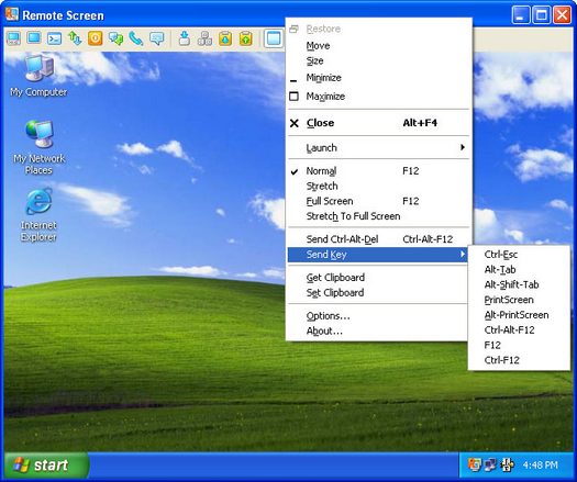 Remote Administrator 3.0 screenshot (resized)