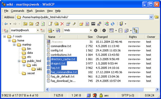 WinSCP screenshot (resized)