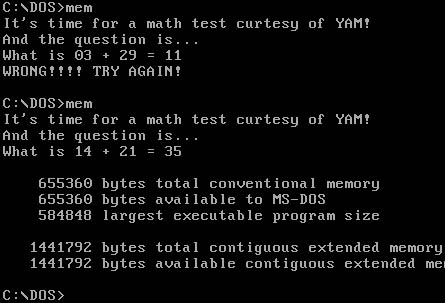 Mathtest virus Mathtest virus
