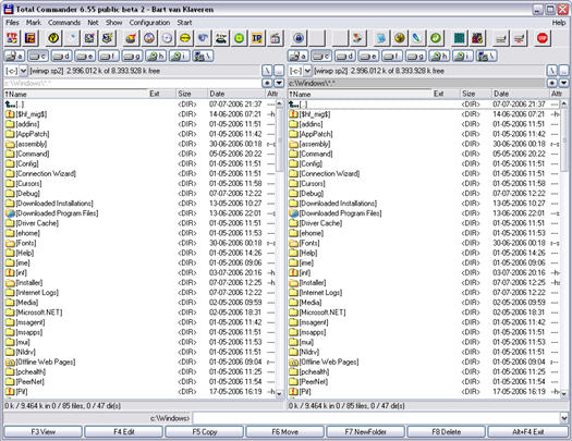 Total Commander 6.55 public beta 2 screenshot (resized)