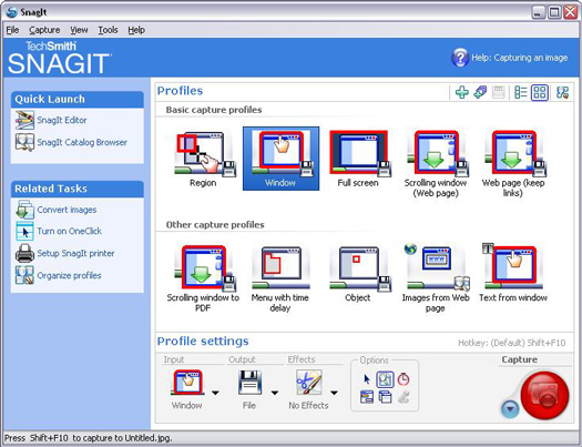 SnagIt 8.1.0 screenshot (resized)