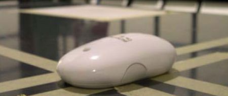 Apple Wireless Mighty Mouse