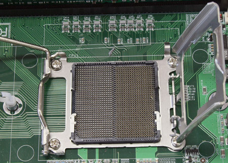 Socket F 450px breed Socket F 450px breed