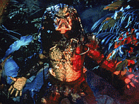 Predator