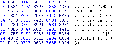 Geëncodeerde inhoud van ICMP-pakket (uitsnede) Geëncodeerde inhoud van ICMP-pakket (uitsnede)