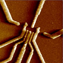Quantumdot