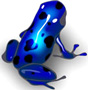 Azureus logo (90 pix)