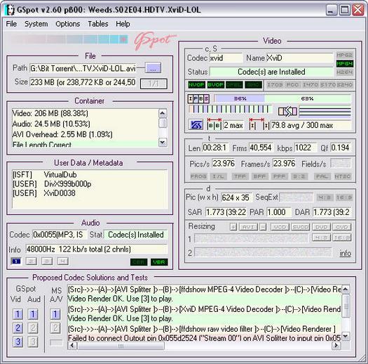 GSpot 2.60 b00 screenshot (resized)