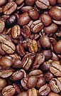 De echte bron van de beste Java