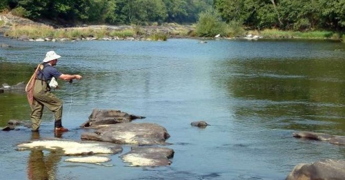 Vissen