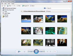 Windows Vista Gallery