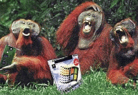 Apen met Windows 98