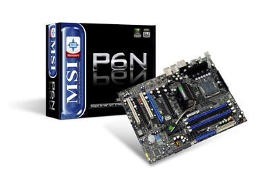 MSI P6N