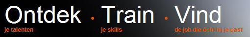 Microsoft TalentLab-bannertje: 'Ontdek, train, vind'