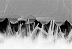Nanogenerator: nanodraadjes met nanoelektrode